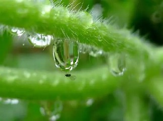 在这场漫长的谈判中彼此都各怀鬼胎而且固执......《英超联盟》摘录
